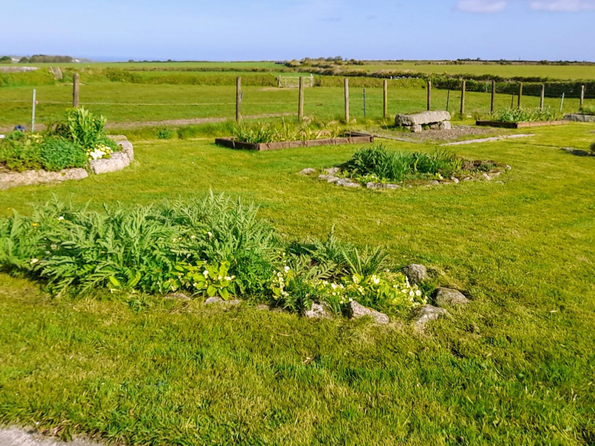 Ash Tree Cottage Carnbrea Exterior foto